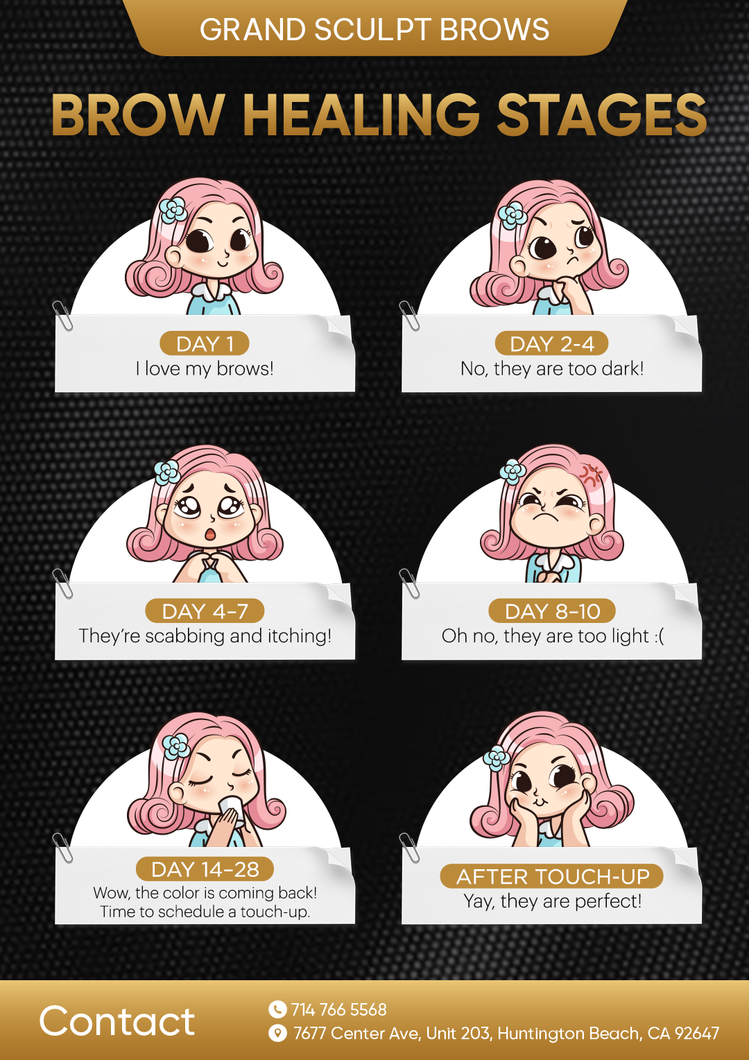 Brow Healing Stages - Day 1 to After Touch-up